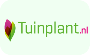 Tuinplant