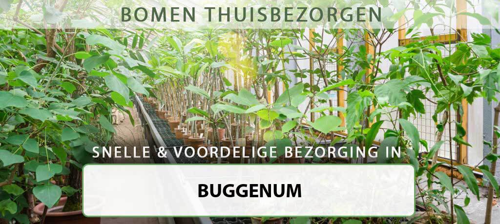 boom-bezorgen-buggenum